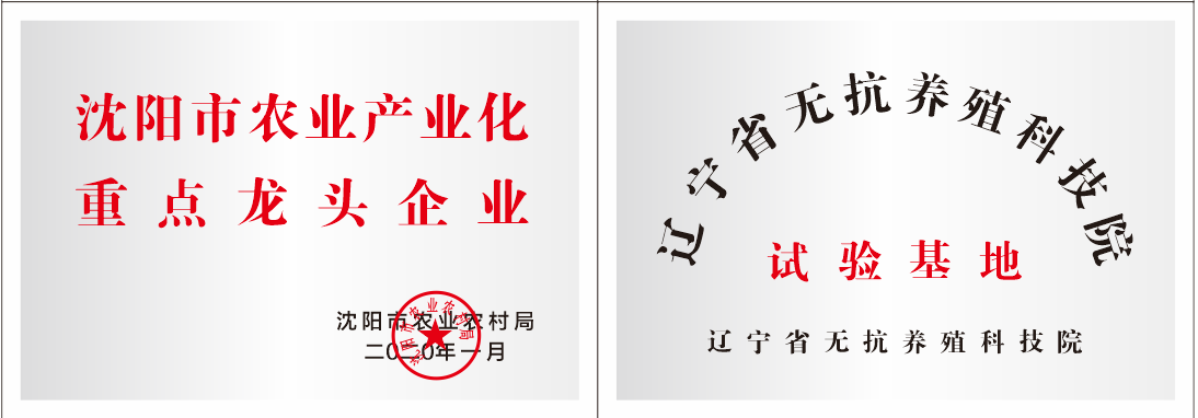 資質榮譽 